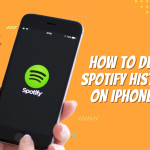 How to Delete Spotify history on iPhone