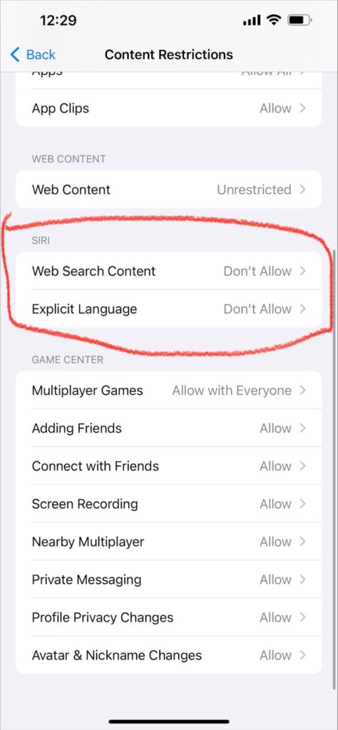 how to set Siri web search restrictions