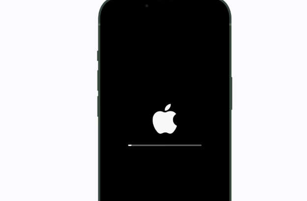 iPhone will start restarting.